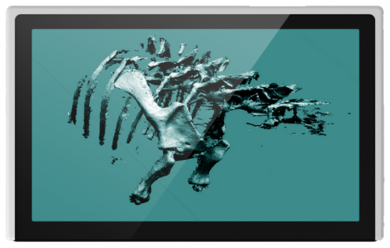 app4